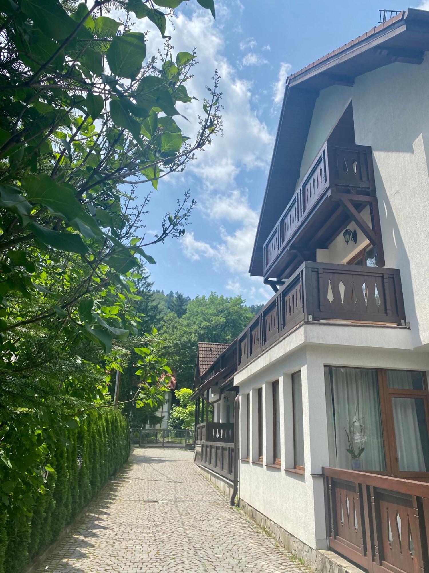 Boga Rooms Sinaia Buitenkant foto